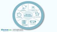 6 Principios básicos de la metodología Scrum
